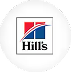 Hill's Pet Nutrition Sitio Web Chile